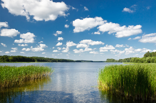 Urlaub in Seenplatte