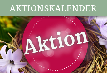 Aktionsangebote